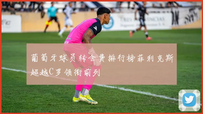 葡萄牙球员转会费排行榜菲利克斯超越C罗领衔前列