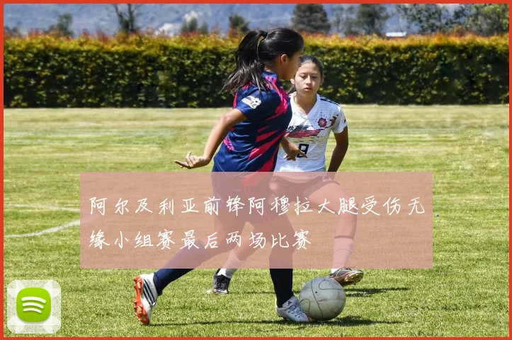 阿尔及利亚前锋阿穆拉大腿受伤无缘小组赛最后两场比赛