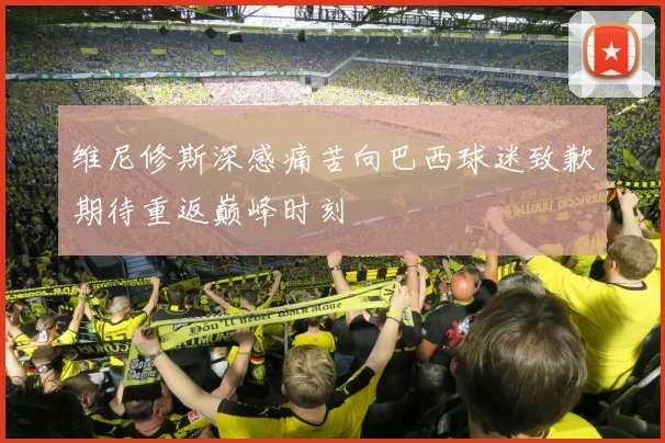 维尼修斯深感痛苦向巴西球迷致歉期待重返巅峰时刻
